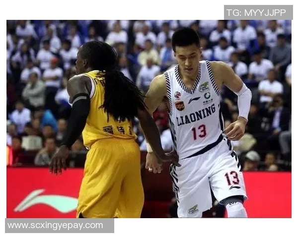 犀牛与姚明的奇妙相遇探讨体育与自然的和谐共生之道